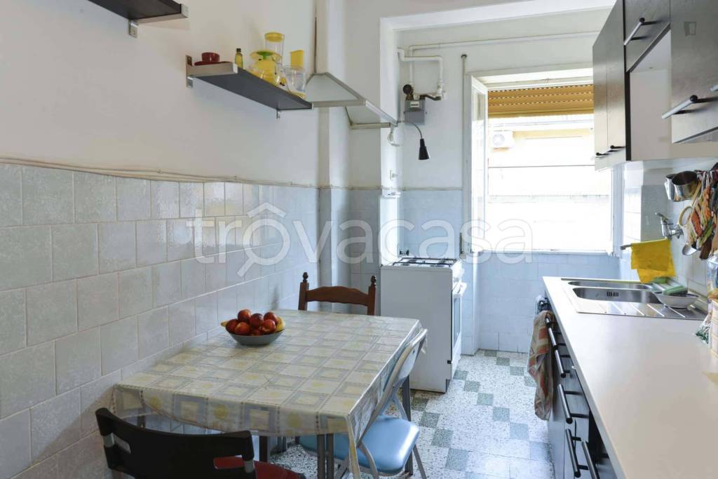 appartamento in affitto a Roma in zona Tuscolano