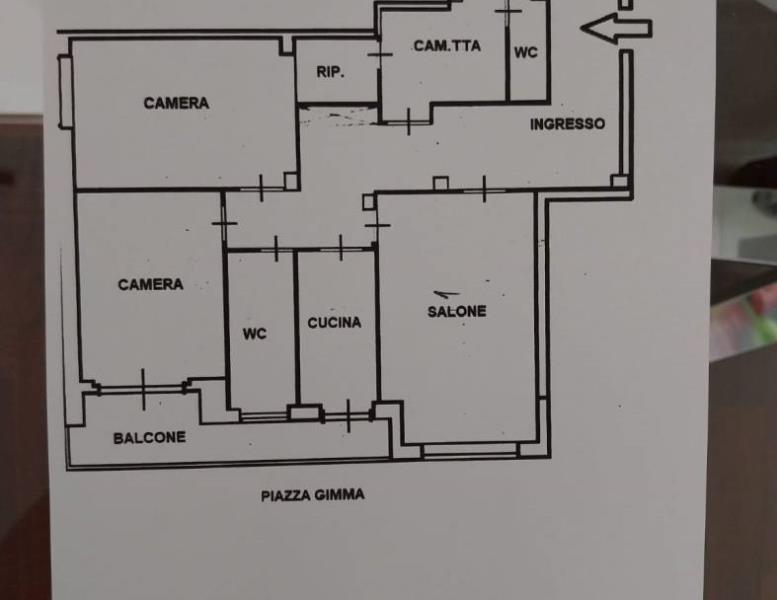 appartamento in affitto a Roma in zona Trieste
