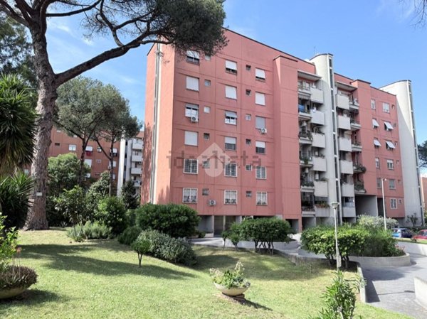 appartamento in affitto a Roma in zona Collatino