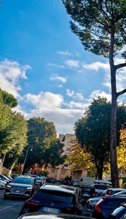 appartamento in affitto a Roma in zona Parioli