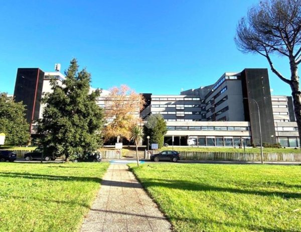 ufficio in affitto a Roma