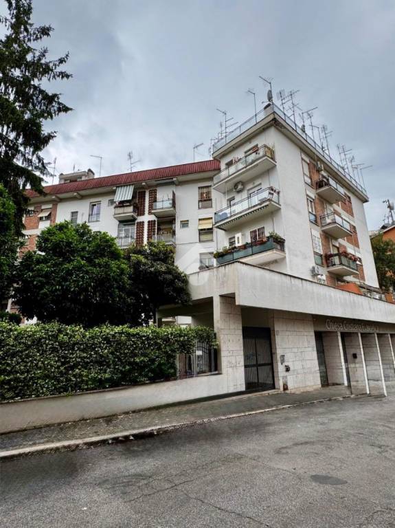 appartamento in affitto a Roma in zona Giuliano Dalmata