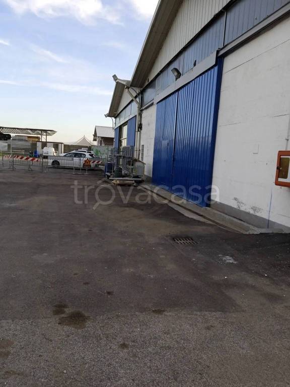 locale commerciale in affitto a Roma in zona Parioli