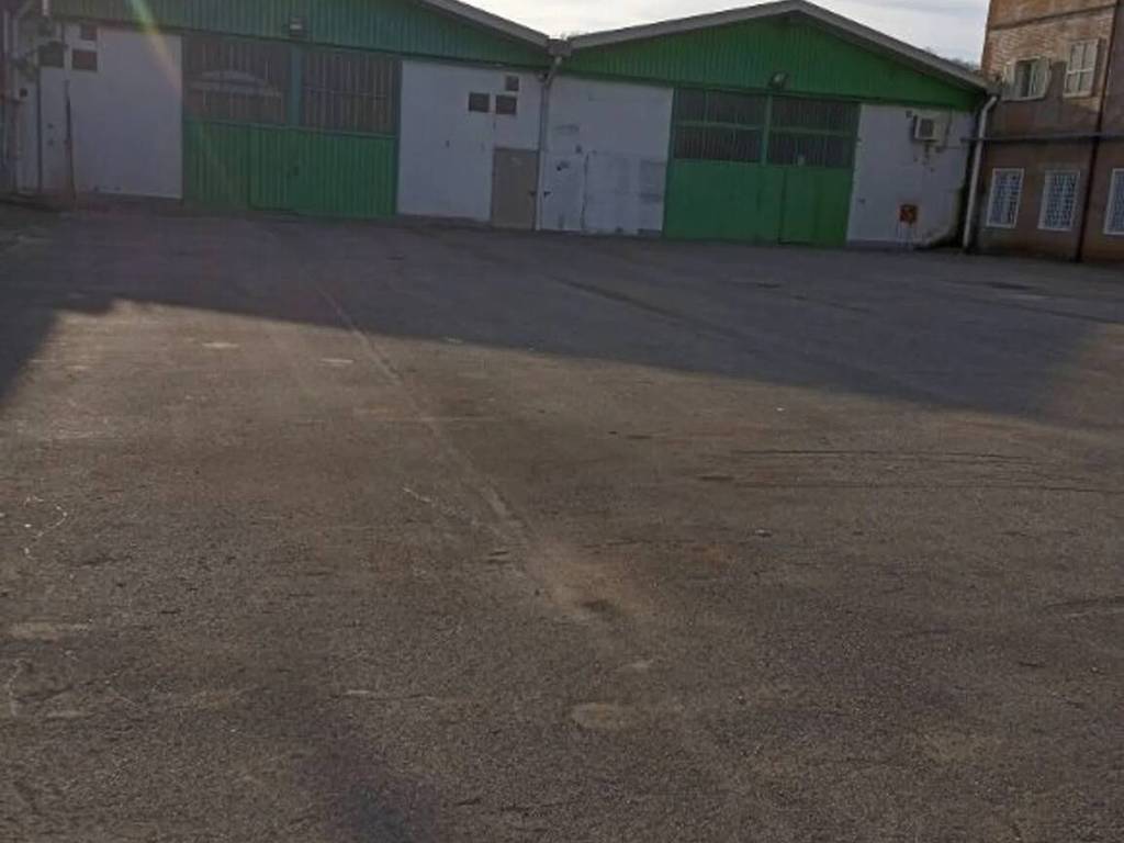 appartamento in affitto a Roma in zona Parioli