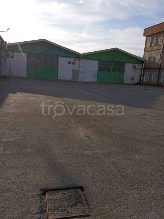 appartamento in affitto a Roma in zona Parioli