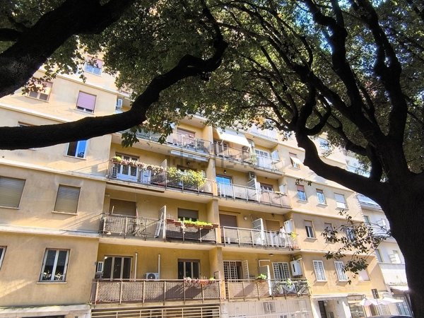 appartamento in affitto a Roma in zona Della Vittoria