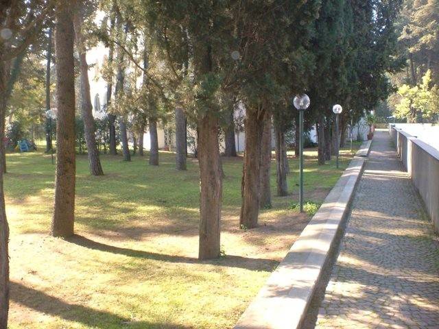appartamento in affitto a Roma in zona Monte Sacro/Talenti