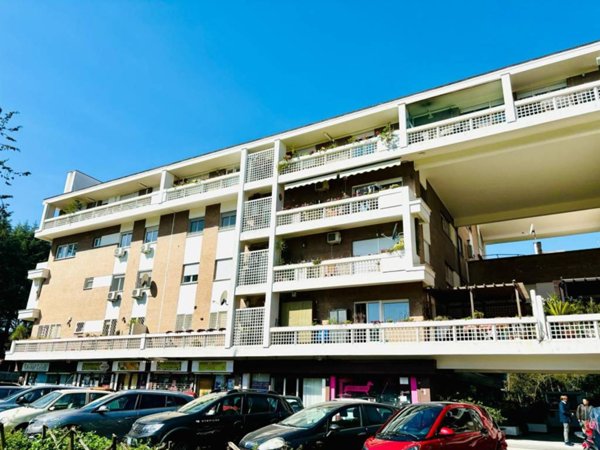 appartamento in affitto a Roma in zona Monte Sacro/Talenti