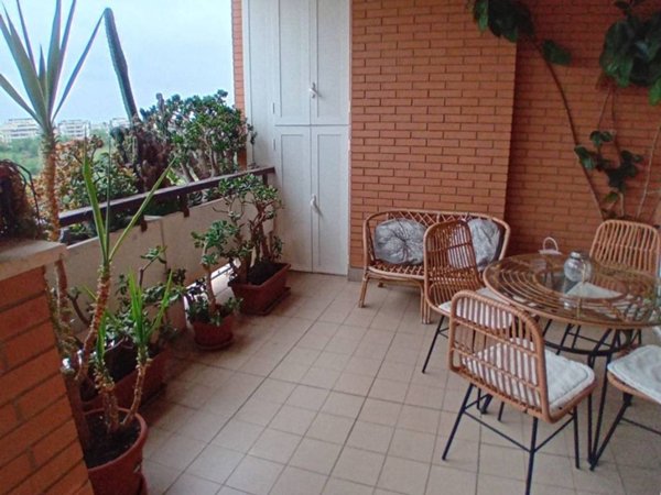 appartamento in affitto a Roma
