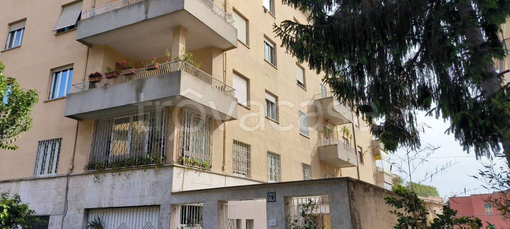 appartamento in affitto a Roma in zona Parioli