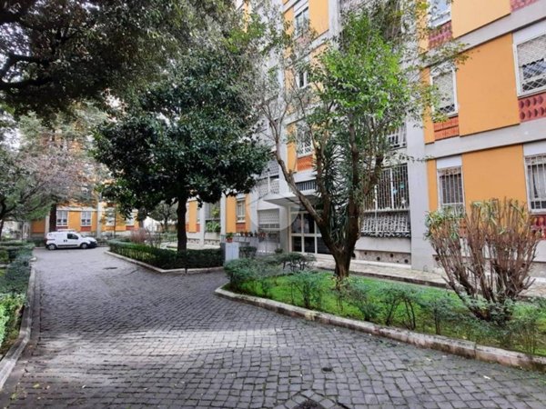 appartamento in affitto a Roma in zona Trieste