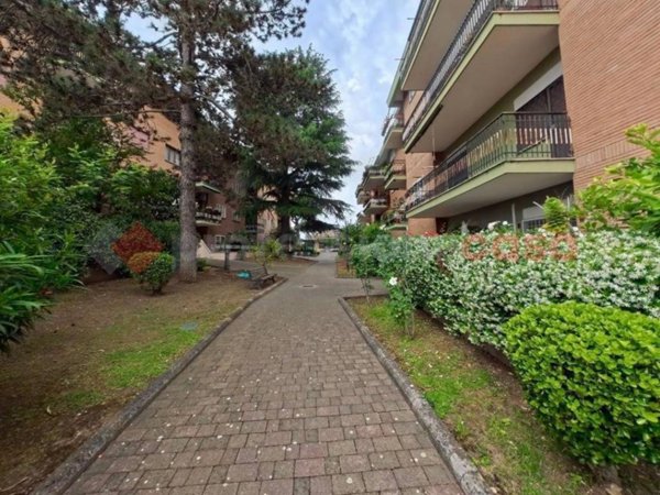 appartamento in affitto a Roma in zona Salario