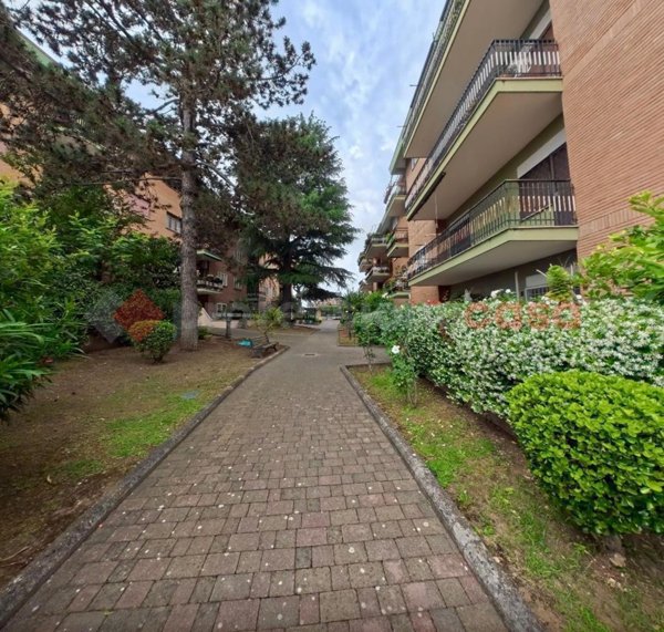 appartamento in affitto a Roma in zona Salario