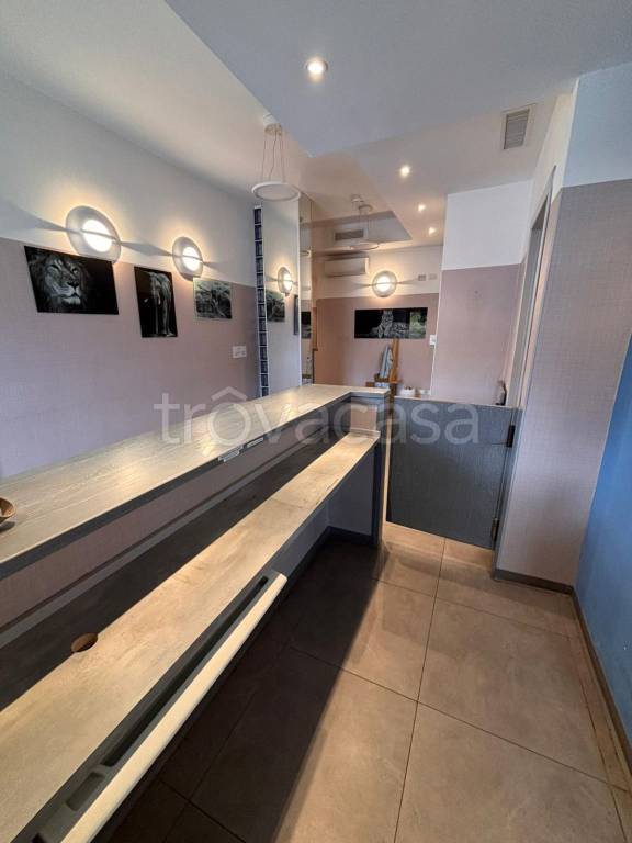 appartamento in affitto a Roma in zona Pinciano