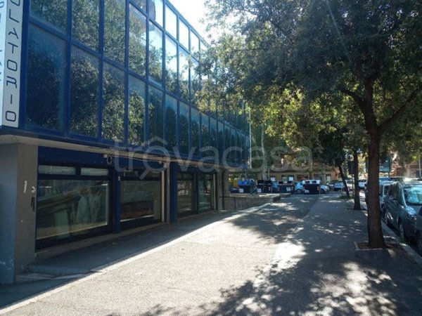 negozio in affitto a Roma in zona Appio Claudio