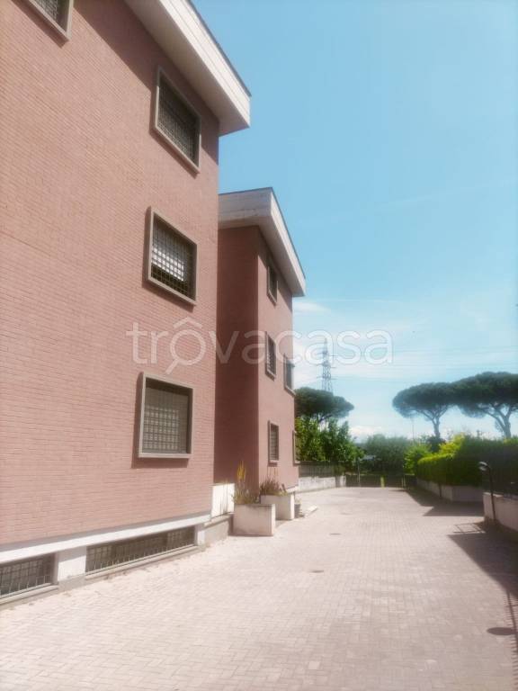 appartamento in affitto a Roma in zona Tor Sapienza