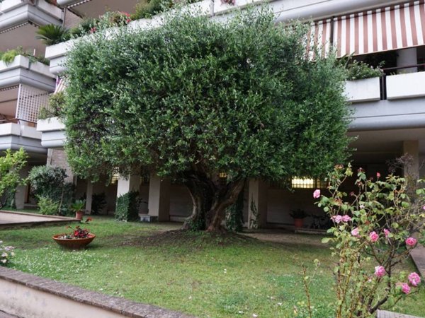 appartamento in affitto a Roma in zona Ostiense