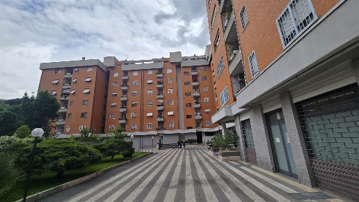appartamento in affitto a Roma in zona Salario