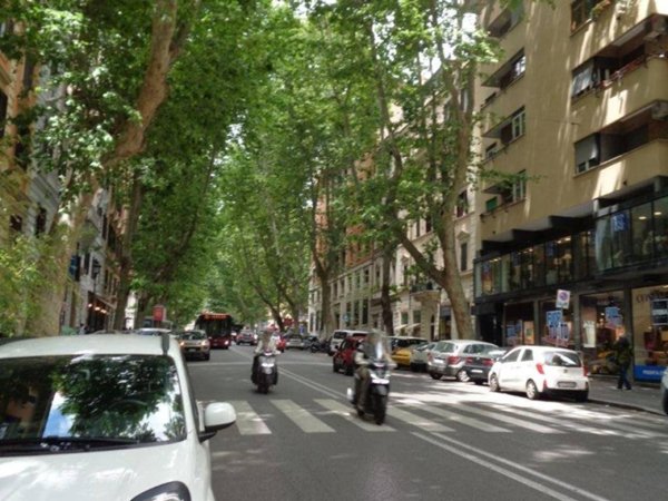 appartamento in affitto a Roma in zona Rione Monti/Campitelli