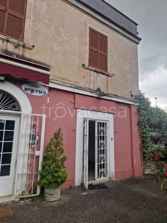 negozio in affitto a Roma in zona Monte Sacro/Talenti