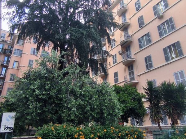 monolocale in affitto a Roma in zona Appio Latino