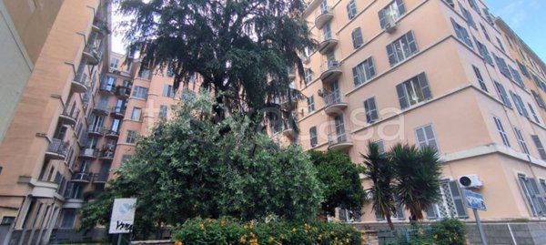monolocale in affitto a Roma
