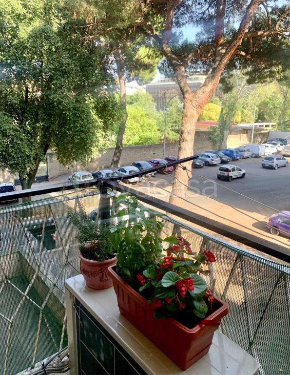 appartamento in affitto a Roma in zona Collatino