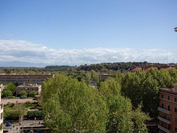appartamento in affitto a Roma in zona Flaminio