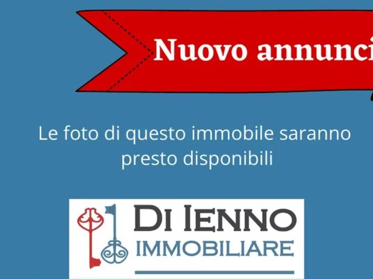 appartamento in affitto a Roma in zona Flaminio