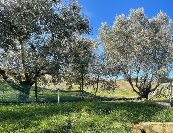 appartamento in affitto a Roma in zona La Storta