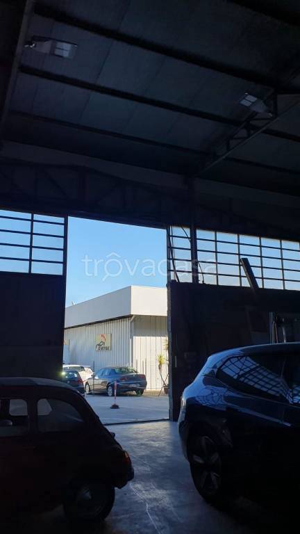 negozio in affitto a Roma in zona Collatino
