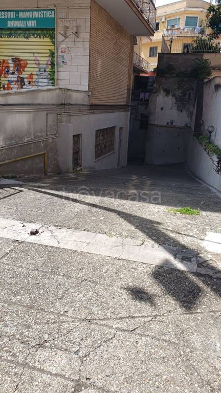 locale commerciale in affitto a Roma in zona Pietralata