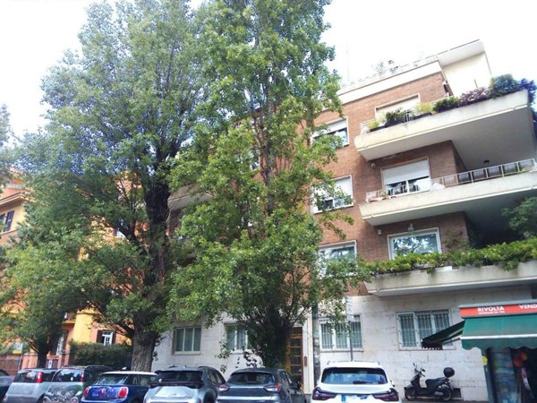 appartamento in affitto a Roma in zona Della Vittoria