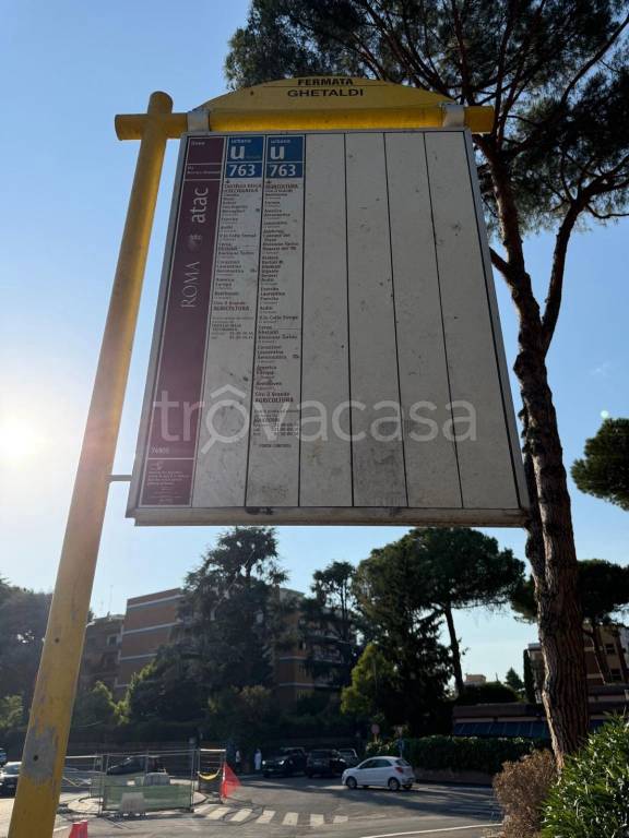 appartamento in affitto a Roma in zona Giuliano Dalmata