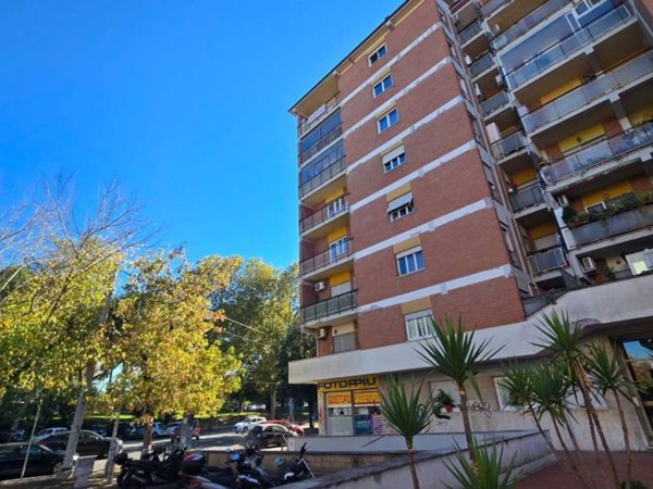 appartamento in affitto a Roma in zona Monte Sacro/Talenti