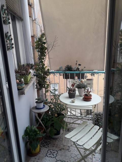 appartamento in affitto a Roma in zona Trionfale