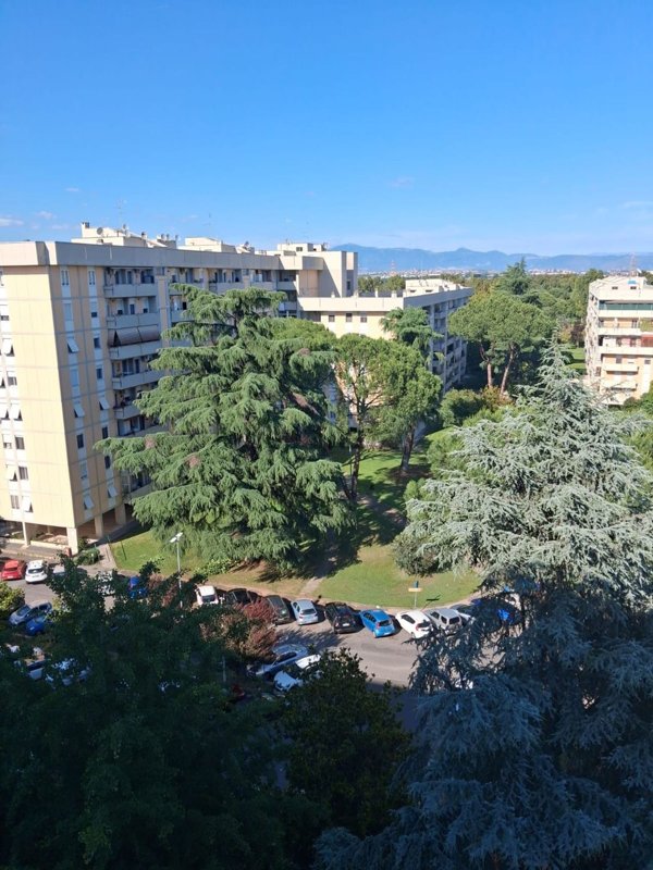 appartamento in affitto a Roma in zona Collatino