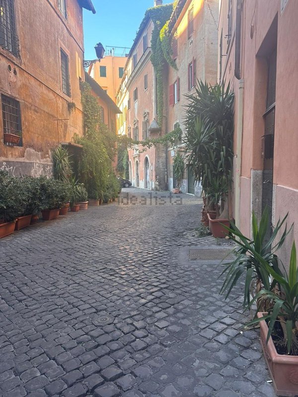appartamento in affitto a Roma in zona Trastevere