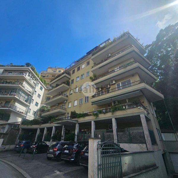 appartamento in affitto a Roma in zona Parioli