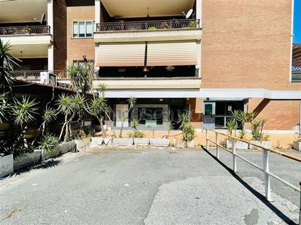 locale commerciale in affitto a Roma in zona Trionfale