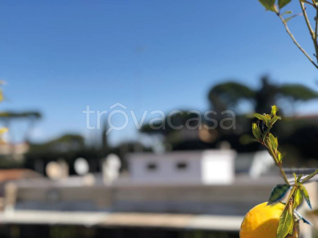 appartamento in affitto a Roma in zona Aurelio