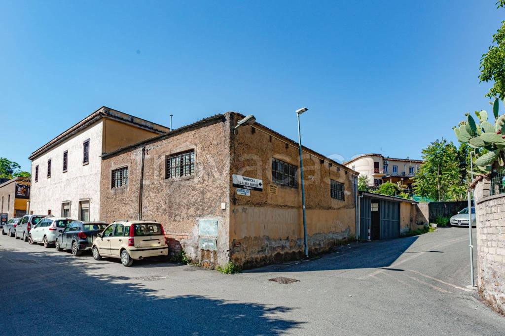 negozio in affitto a Roma in zona Pietralata