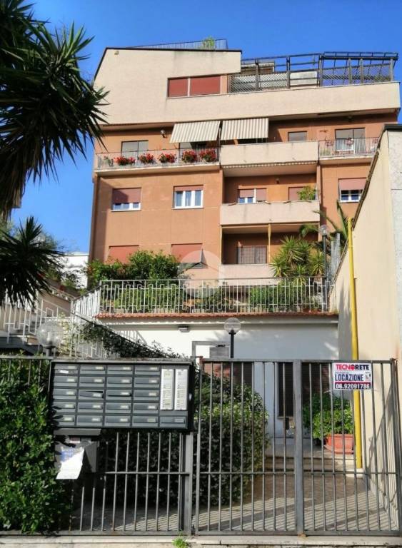 appartamento in affitto a Roma in zona Giuliano Dalmata