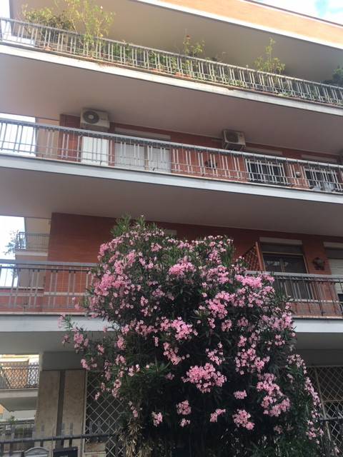 monolocale in affitto a Roma in zona Tiburtino