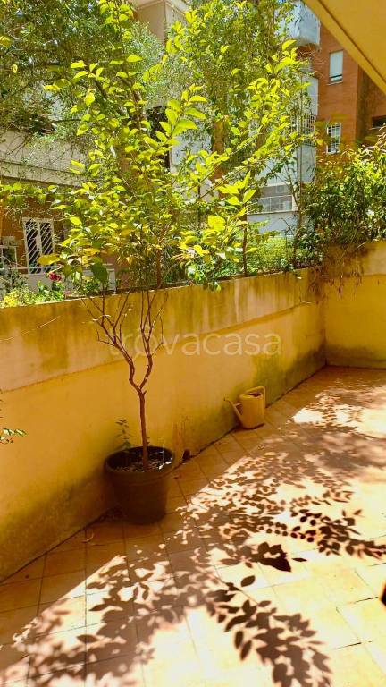 appartamento in affitto a Roma