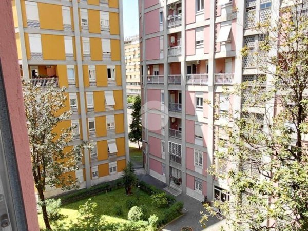 appartamento in affitto a Roma in zona Trieste