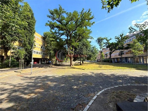 appartamento in affitto a Roma in zona Flaminio