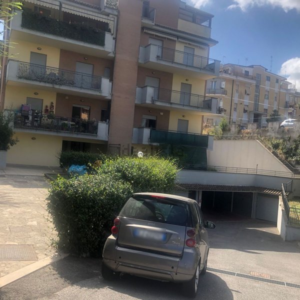 appartamento in affitto a Roma in zona Trionfale