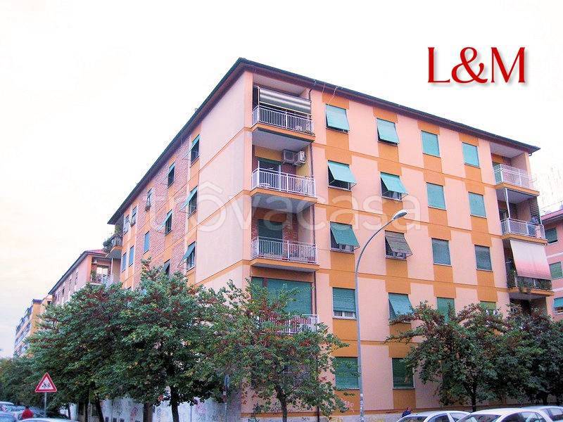 appartamento in affitto a Roma in zona EUR