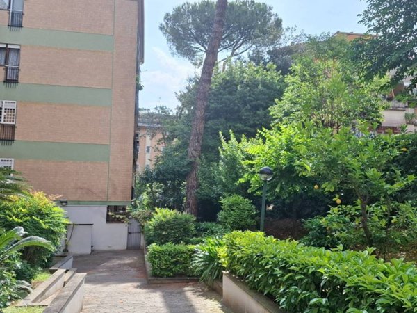 appartamento in affitto a Roma in zona Monte Sacro/Talenti